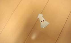 メロメロです・・・