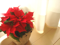 クリスマス