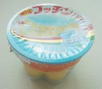 purin1