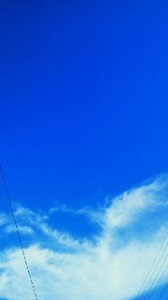 2010080516440000.jpg