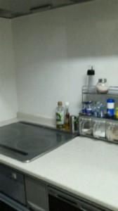 2010123116470000.jpg
