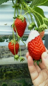 2011021121470000.jpg