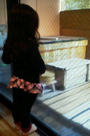 onsen