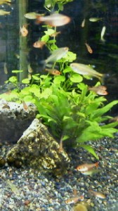 2011042917110000.jpg