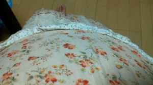 2011071917310000.jpg