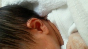 2011073108000000.jpg