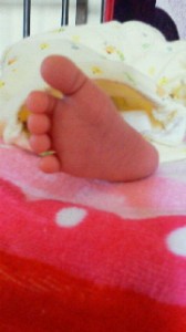 2011081013300000.jpg