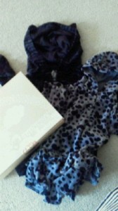 2011081613050000.jpg