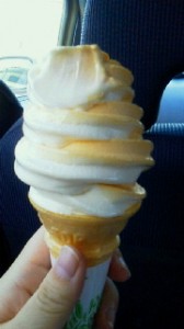 2011082919460000.jpg