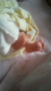 2011090110240000.jpg