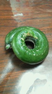 2011090311490000.jpg