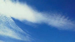 2011090822130000.jpg