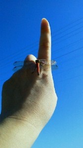 2011092410100000.jpg