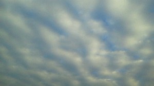 2011101316380000 2011101316380000.jpg