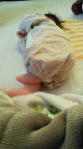 2011102015260000.jpg