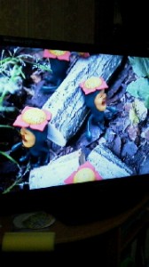 2011110321510000.jpg