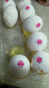 2011120317110000.jpg
