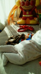 2012022215150000.jpg