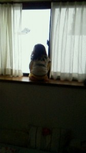 2012022907390001.jpg